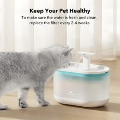 Petlibro PLWF002 Replacement Filters, 8 Count 9 Petlibro PLWF002 Replacement Filters, 8 Count -Pawfect Care 661174 PT3. AC SS1800 V1665173864