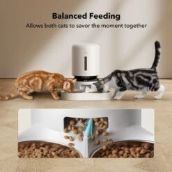 Petlibro Granary Automatic Two Cat & Dog Feeder With Camera -Pawfect Care 661270 PT6. AC SS1800 V1665174479