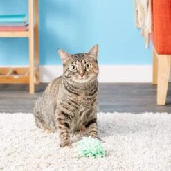 KONG Moppy Ball Cat Toy, Color Varies -Pawfect Care 66570 PT6. AC SS1800 V1603164687