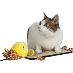 Pet Life Paw-Pleasant Eco-Natural Sisal & Jute Hanging Carpet Kitty Cat Scratcher & Toy -Pawfect Care 667622 PT2. AC SS1800 V1665608535