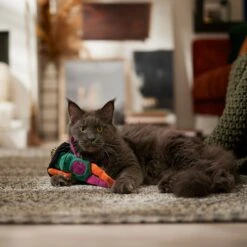 Frisco Halloween Frog In Witch Hat Plush Kicker Cat Toy With Catnip -Pawfect Care 667942 PT3. AC SS1800 V1689355019