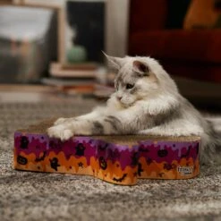Frisco Halloween Ghost Swirl Scratcher Cat Toy With Catnip -Pawfect Care 668230 PT3. AC SS1800 V1689343997