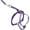 PetSafe Come With Me Kitty Nylon Cat Harness & Bungee Leash -Pawfect Care 67153 MAIN. AC SS1800 V1671742681