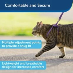 PetSafe Come With Me Kitty Nylon Cat Harness & Bungee Leash -Pawfect Care 67153 PT2. AC SS1800 V1601010073