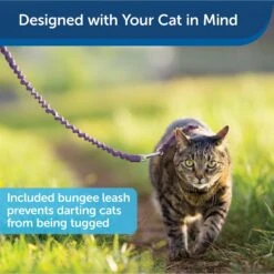 PetSafe Come With Me Kitty Nylon Cat Harness & Bungee Leash -Pawfect Care 67153 PT4. AC SS1800 V1601000459