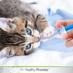 Four Paws Healthy Promise Easy Feeder Syringe -Pawfect Care 67823 PT5. AC SS1800 V1621374736
