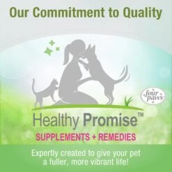 Four Paws Healthy Promise Easy Feeder Syringe -Pawfect Care 67823 PT7. AC SS1800 V1621376655