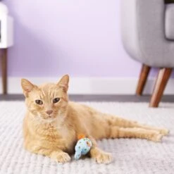 Multipet Look Who's Talking Fish Plush Cat Toy With Catnip -Pawfect Care 68013 PT6. AC SS1800 V1527256501