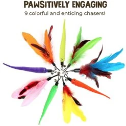 SunGrow Feather Teaser Wand & Fishing Pole Interactive Toy For Indoor Cat & Dog, 11 Count 8 SunGrow Feather Teaser Wand & Fishing Pole Interactive Toy For Indoor Cat & Dog, 11 Count -Pawfect Care 684822 PT2. AC SS1800 V1694455029