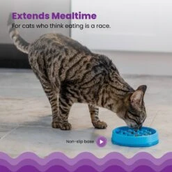 Petstages Kitty Slow Cat Feeder -Pawfect Care 684990 PT2. AC SS1800 V1700515753