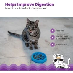 Petstages Kitty Slow Cat Feeder -Pawfect Care 684990 PT3. AC SS1800 V1700515751