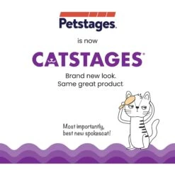 Petstages Kitty Slow Cat Feeder -Pawfect Care 684990 PT6. AC SS1800 V1700515750