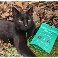 Hemp Well Calming Soft Chew Supplement For Cats, 60 Count -Pawfect Care 685182 PT3. AC SS1800 V1700689839