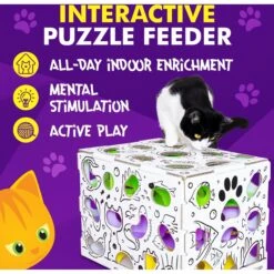 Cat Amazing Mega-Interactive Treat Maze & Puzzle Cat Toy, White -Pawfect Care 685438 PT4. AC SS1800 V1669738440