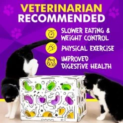 Cat Amazing Mega-Interactive Treat Maze & Puzzle Cat Toy, White -Pawfect Care 685438 PT6. AC SS1800 V1669738502