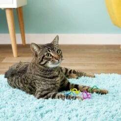 Fat Cat Crazies Playrings Cat Toy -Pawfect Care 68548 PT5. AC SS1800 V1525719550