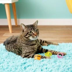 Fat Cat Looney-Loops Cat Toy -Pawfect Care 68552 PT7. AC SS1800 V1525719616