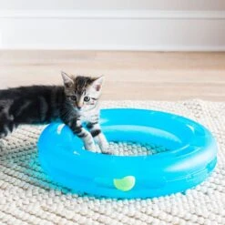 Fat Cat Crazy Circle Cat Toy -Pawfect Care 68599 PT2. AC SS1800 V1602325861