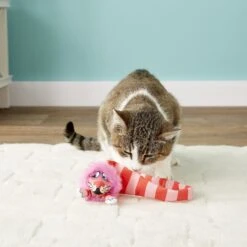 Fat Cat Classic Tail Chaser Cat Toy, Color Varies -Pawfect Care 68611 PT7. AC SS1800 V1525718670