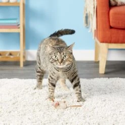 Fat Cat Eeeks! Cat Toy With Catnip, Color Varies, 1 Count -Pawfect Care 68613 PT5. AC SS1800 V1525718689