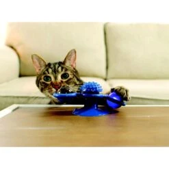 Pets Know Best Purrfect Spinner Cat Toy, Blue -Pawfect Care 691606 PT2. AC SS1800 V1667519297