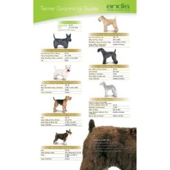 Andis CeramicEdge Detachable Blade -Pawfect Care 69164 PT4. AC SS1800 V1472074206