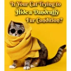 Pet MasterMind Fluffy Feline Cat Dandruff Care Spray, 8-oz Bottle -Pawfect Care 692566 PT2. AC SS1800 V1667342893