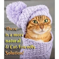 Pet MasterMind Fluffy Feline Cat Dandruff Care Spray, 8-oz Bottle -Pawfect Care 692566 PT3. AC SS1800 V1667355615