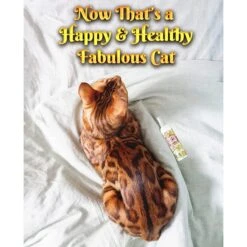 Pet MasterMind Fluffy Feline Cat Dandruff Care Spray, 8-oz Bottle -Pawfect Care 692566 PT4. AC SS1800 V1667353892