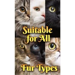 Pet MasterMind Fluffy Feline Cat Dandruff Care Spray, 8-oz Bottle -Pawfect Care 692566 PT5. AC SS1800 V1667342774