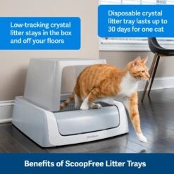 PetSafe ScoopFree Complete Disposable Crystal Litter Tray & PetSafe ScoopFree Complete Plus Self-Cleaning Litter Box -Pawfect Care 694182 PT3. AC SS1800 V1668531824