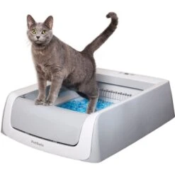 PetSafe ScoopFree Complete Disposable Crystal Litter Tray & PetSafe ScoopFree Complete Plus Self-Cleaning Litter Box -Pawfect Care 694182 PT5. AC SS1800 V1668531393