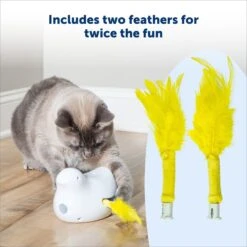 PetSafe Peek-A-Bird Replacement Feather Cat Toy, Yellow, 2 Count -Pawfect Care 696502 PT2. AC SS1800 V1667343733
