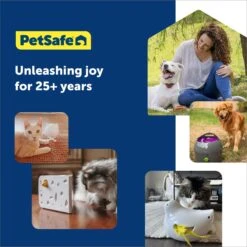 PetSafe Peek-A-Bird Replacement Feather Cat Toy, Yellow, 2 Count -Pawfect Care 696502 PT5. AC SS1800 V1667354890