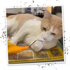 Meowijuana Refillable Get Hung Moon & Stars Cat Toy -Pawfect Care 696614 PT5. AC SS1800 V1669386751