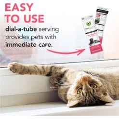 VetriScience Fast Balance G.I. Paste Medication For Digestive Issues For Cats & Dogs 13 VetriScience Fast Balance G.I. Paste Medication For Digestive Issues For Cats & Dogs -Pawfect Care 69917 PT4. AC SS1800 V1659634992