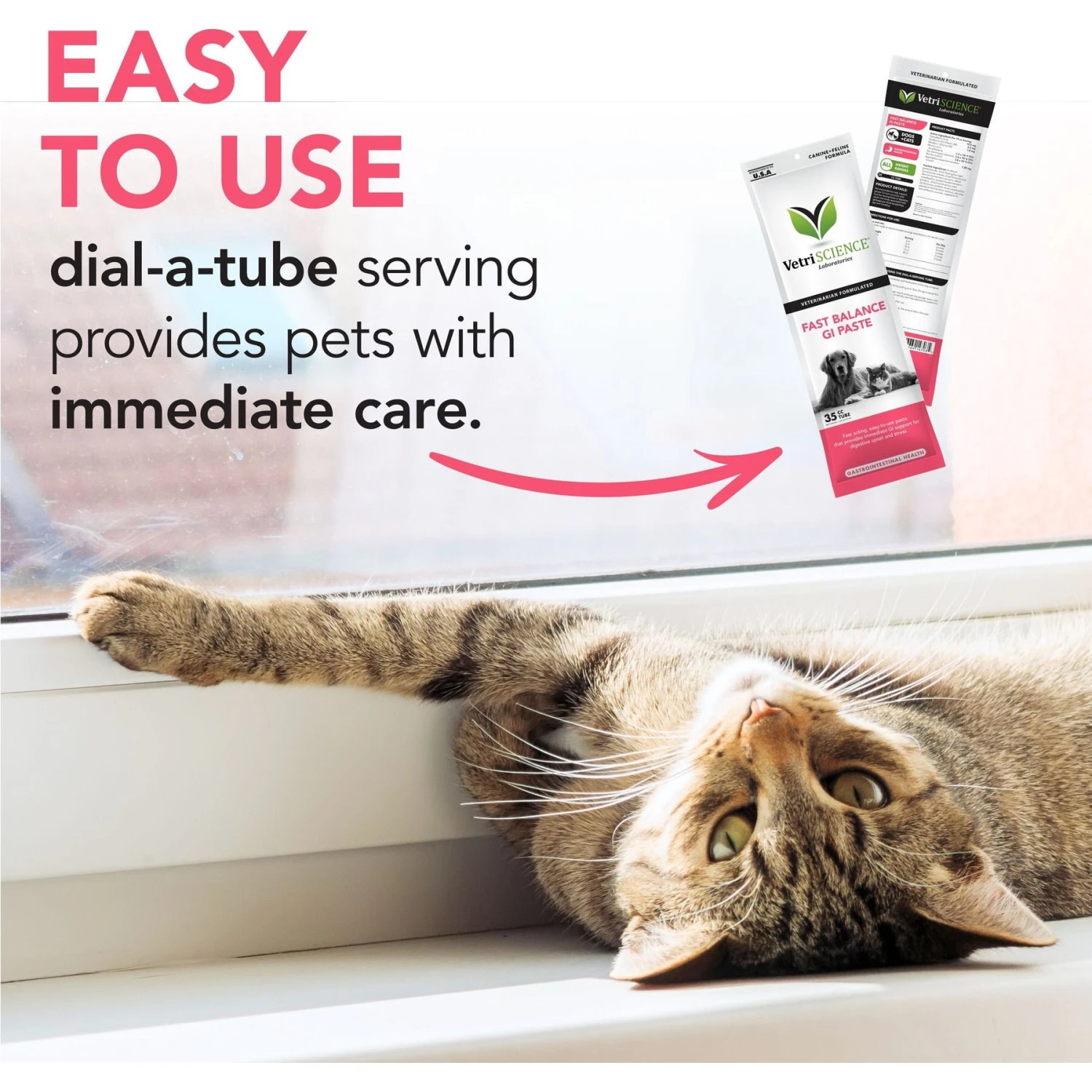 VetriScience Fast Balance G.I. Paste Medication For Digestive Issues For Cats & Dogs 7 VetriScience Fast Balance G.I. Paste Medication For Digestive Issues For Cats & Dogs - Image 5