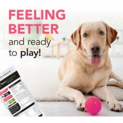 VetriScience Fast Balance G.I. Paste Medication For Digestive Issues For Cats & Dogs 14 VetriScience Fast Balance G.I. Paste Medication For Digestive Issues For Cats & Dogs -Pawfect Care 69917 PT5. AC SS1800 V1659634820