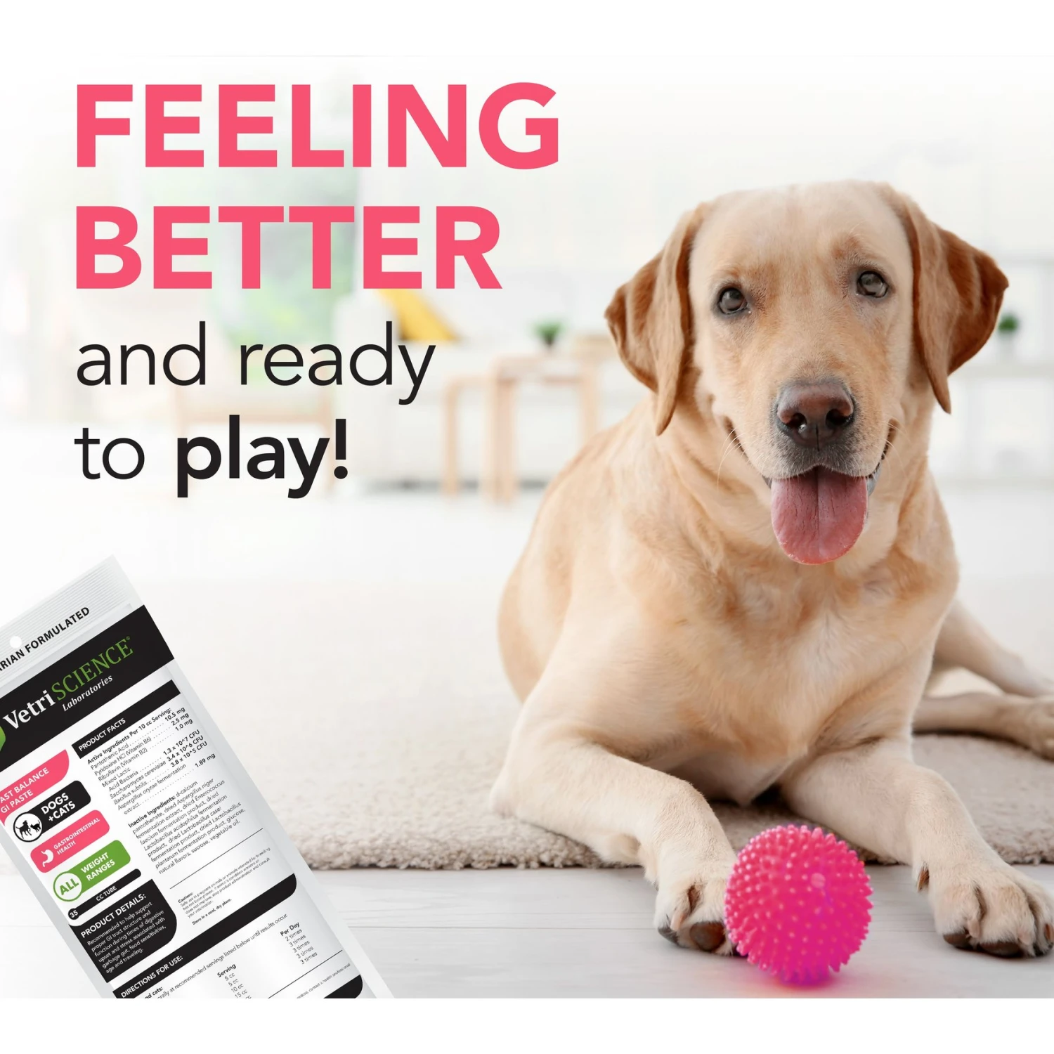 VetriScience Fast Balance G.I. Paste Medication For Digestive Issues For Cats & Dogs 8 VetriScience Fast Balance G.I. Paste Medication For Digestive Issues For Cats & Dogs - Image 6