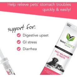 VetriScience Fast Balance G.I. Paste Medication For Digestive Issues For Cats & Dogs 15 VetriScience Fast Balance G.I. Paste Medication For Digestive Issues For Cats & Dogs -Pawfect Care 69917 PT6. AC SS1800 V1659634884