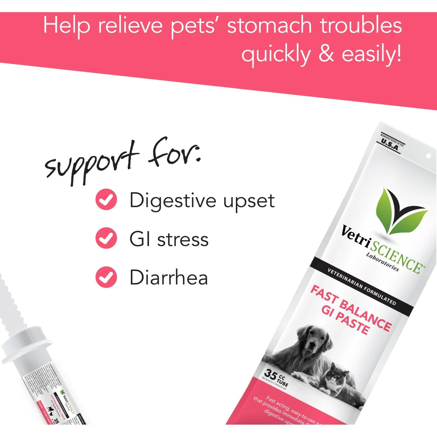 VetriScience Fast Balance G.I. Paste Medication For Digestive Issues For Cats & Dogs 9 VetriScience Fast Balance G.I. Paste Medication For Digestive Issues For Cats & Dogs - Image 7