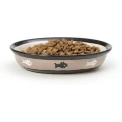 PetRageous Designs City Pets Oval Fish Ceramic Cat Dish -Pawfect Care 70241 PT4. AC SS1800 V1660339364
