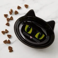 PetRageous Designs Frisky Kitty Oval Cat Dish -Pawfect Care 70333 PT2. AC SS1800 V1542236361