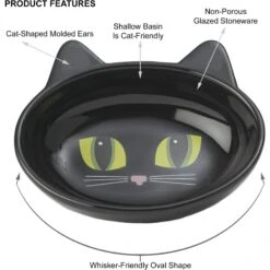 PetRageous Designs Frisky Kitty Oval Cat Dish -Pawfect Care 70333 PT5. AC SS1800 V1660340873