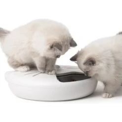 Catit Pixi Smart 6-Meal Cat Feeder 10 Catit Pixi Smart 6-Meal Cat Feeder -Pawfect Care 706126 PT2. AC SS1800 V1668024577