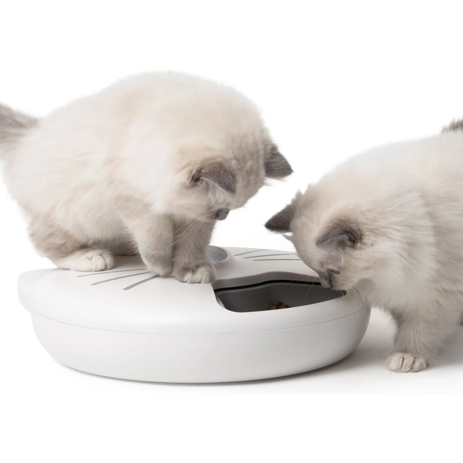 Catit Pixi Smart 6-Meal Cat Feeder 5 Catit Pixi Smart 6-Meal Cat Feeder - Image 3
