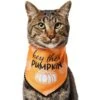 Frisco Hey There Pumpkin Dog & Cat Bandana -Pawfect Care 706374 MAIN. AC SS1800 V1689351106