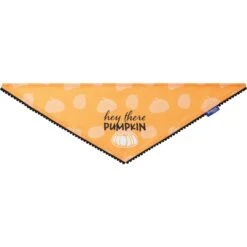 Frisco Hey There Pumpkin Dog & Cat Bandana -Pawfect Care 706374 PT3. AC SS1800 V1689282446