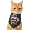 Frisco Trick Or Treat Dog & Cat Bandana -Pawfect Care 706398 MAIN. AC SS1800 V1689271218