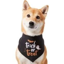 Frisco Trick Or Treat Dog & Cat Bandana -Pawfect Care 706398 PT2. AC SS1800 V1690478415